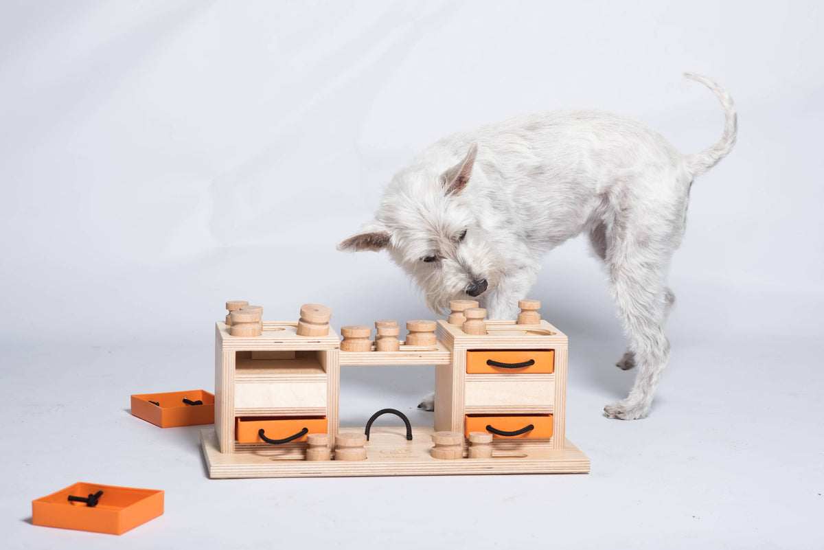 Two Towers - intelligentes Hundespielzeug