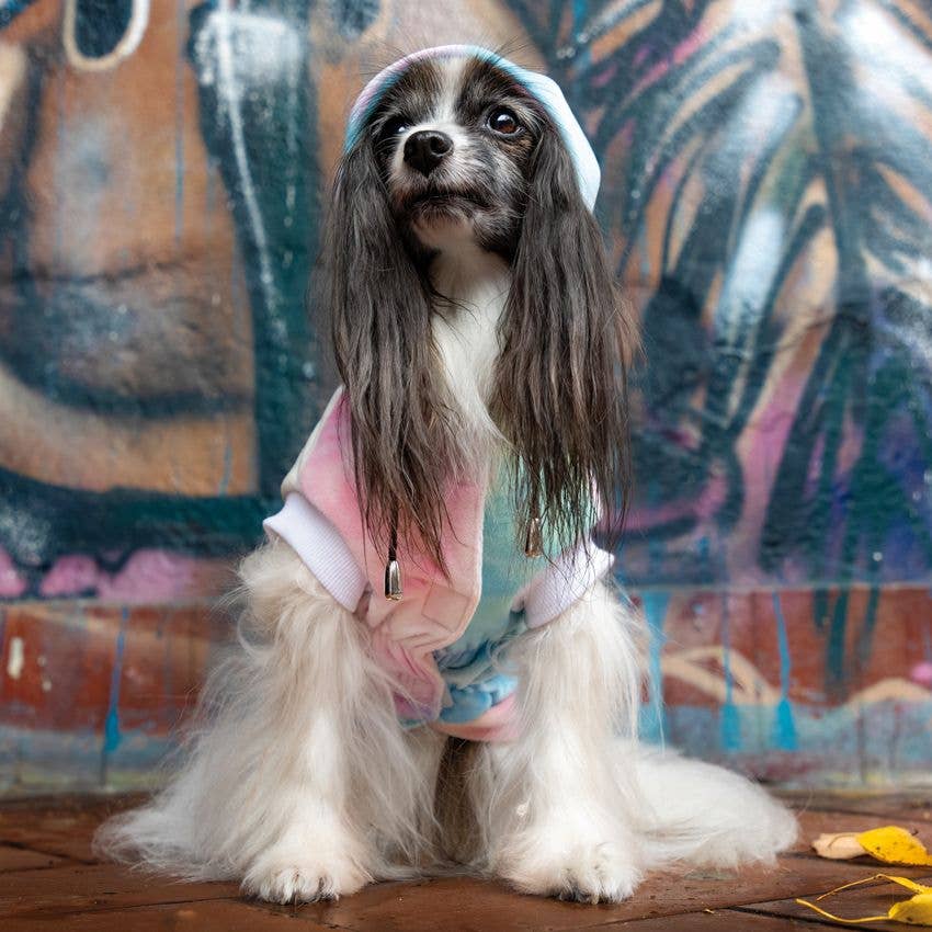 Hunde-Hoodie „Kaleido“ – Weicher Hoodie