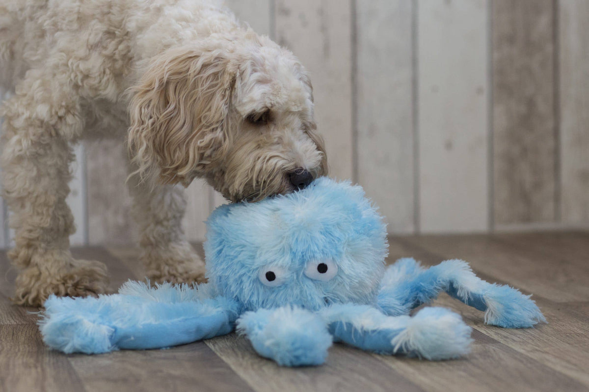 Oktopus Plüschtier – Kuscheln, Zerren & Apportieren