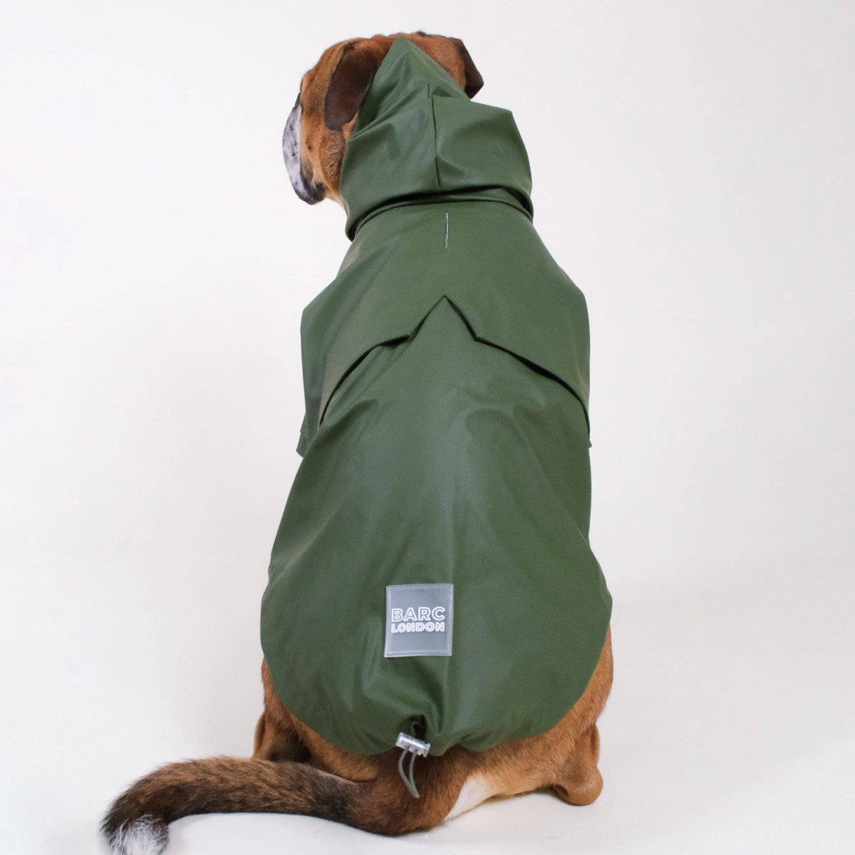 Grüner Hunderegenmantel | Stylischer Hundemantel | Wasserdichter Hundemantel