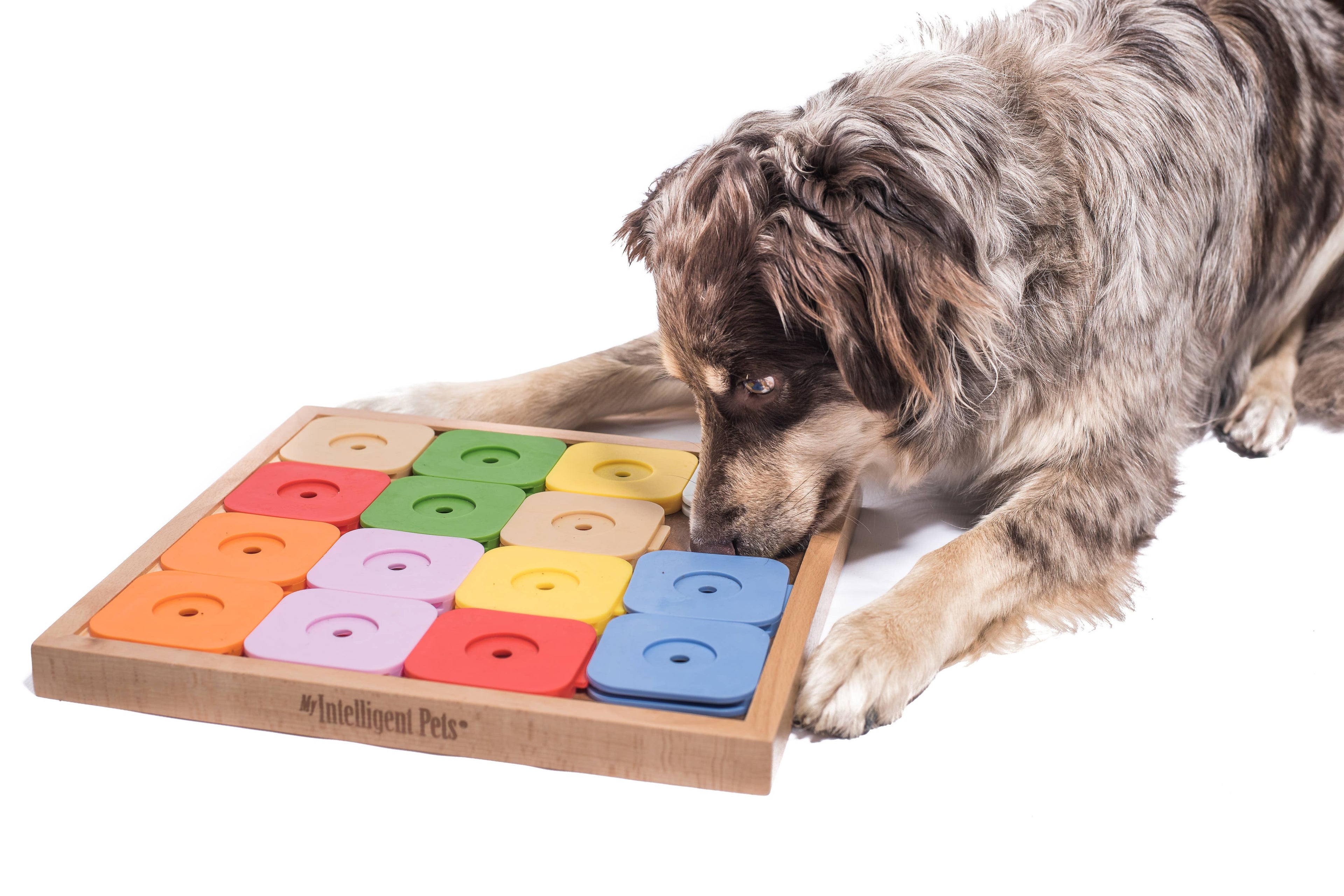 SUDOKU Medium Genie Color – Intelligenzspiel für Hunde