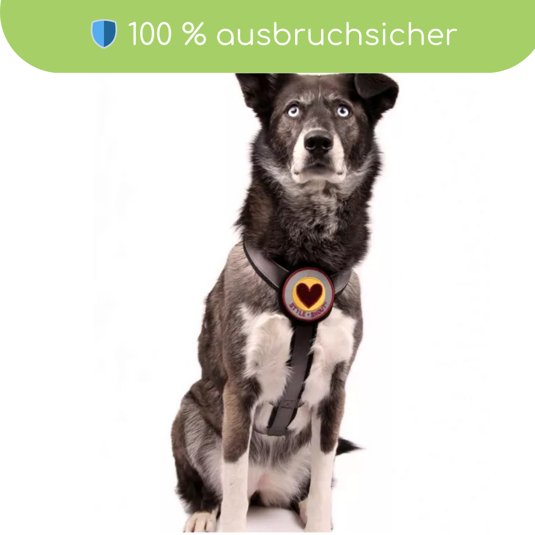 StyleSnout® Patch&Safe Sicherheitsgeschirr – ausbruchsicher & gepolstert