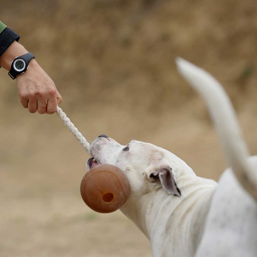 Rub Ball Rope Hundespielzeug, Größe XL