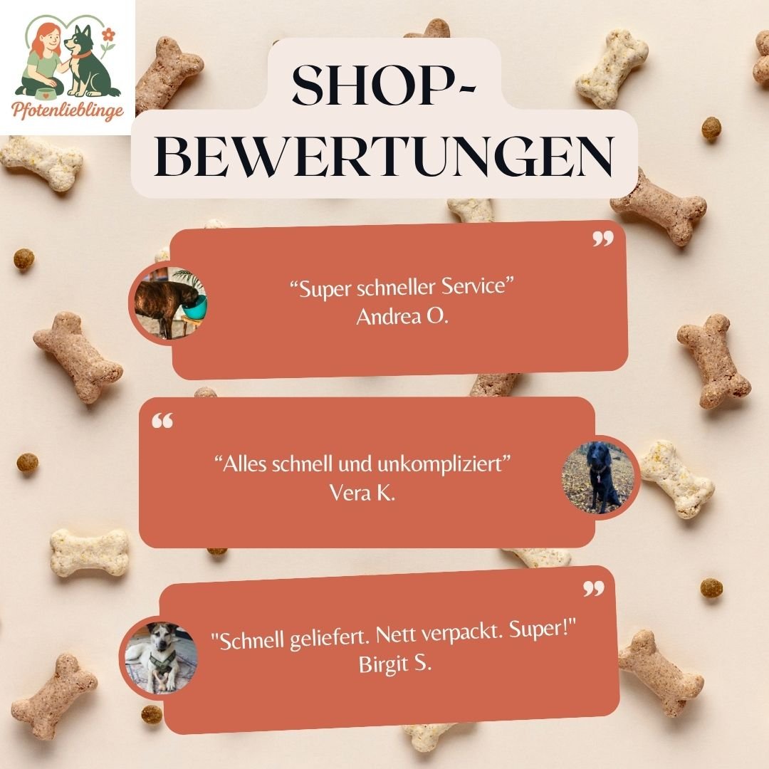 AromaStories Set – MUSK & ROSICCHIO Spielzeuge mit Duftfunktion, 5 € günstiger - Pfotenlieblinge