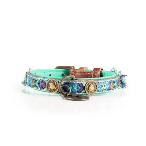 Boho Juan – Exklusives Hundehalsband aus Büffelleder - Pfotenlieblinge