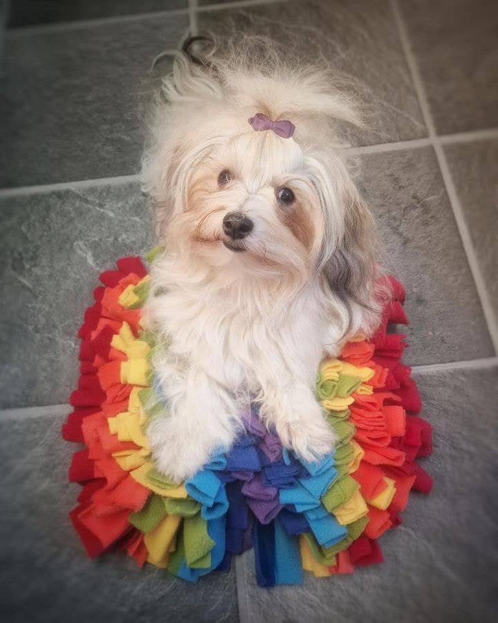 Kl. Schnüffelteppich Rainbow 🌈