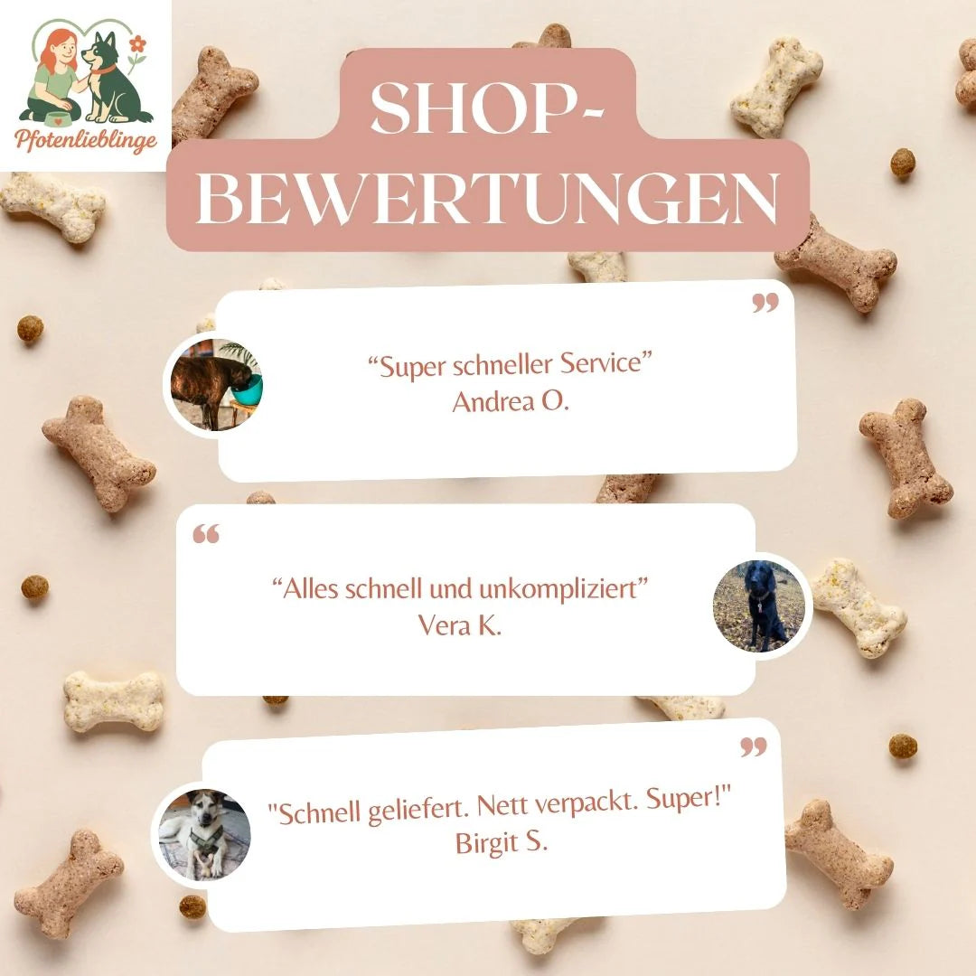 Sparset: Wildbloom Geschirr & Soft Hundeleine – perfekt abgestimmt
