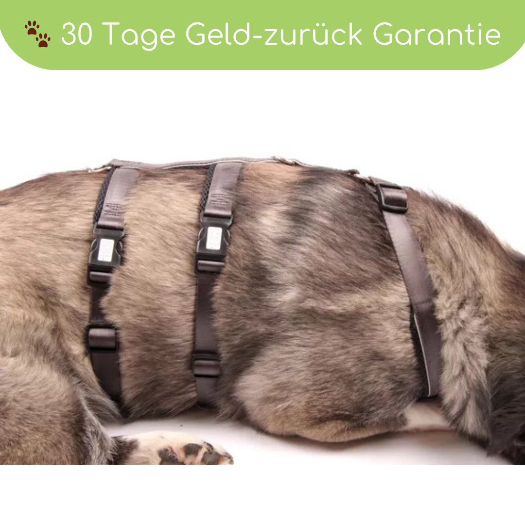 StyleSnout® Patch&Safe Sicherheitsgeschirr – ausbruchsicher & gepolstert