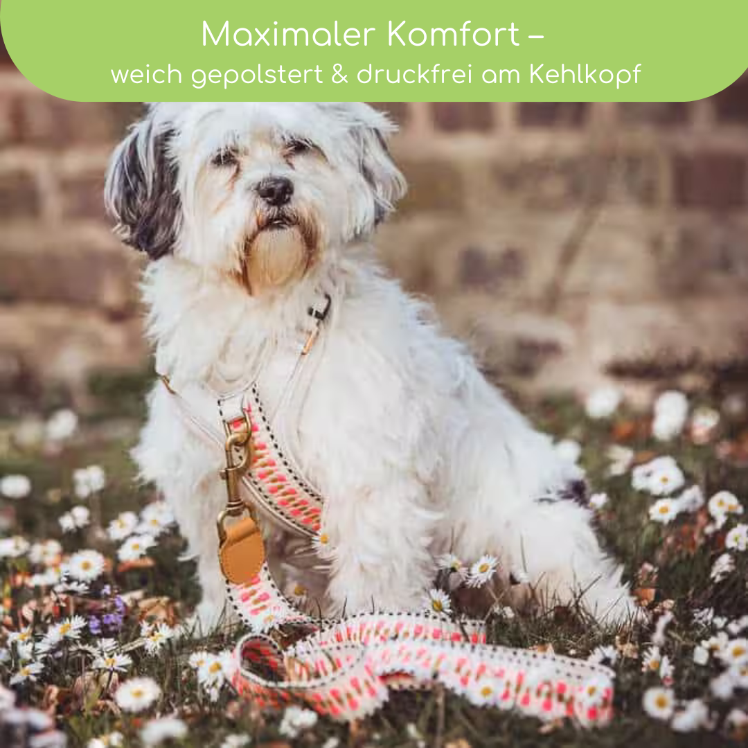 Hundegeschirr Pink/Beige – Verstellbar – Kollektion Très Chic