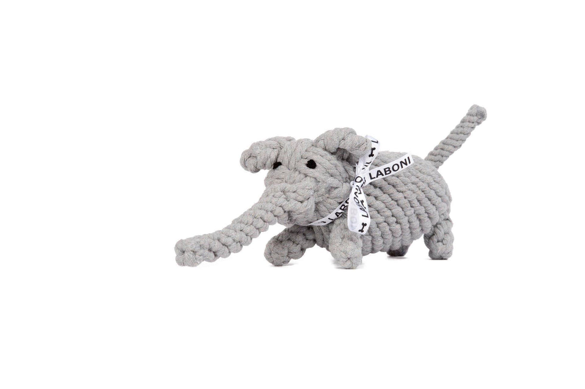 Elton Elefant Hundespielzeug – robust & zahnpflegend - Pfotenlieblinge