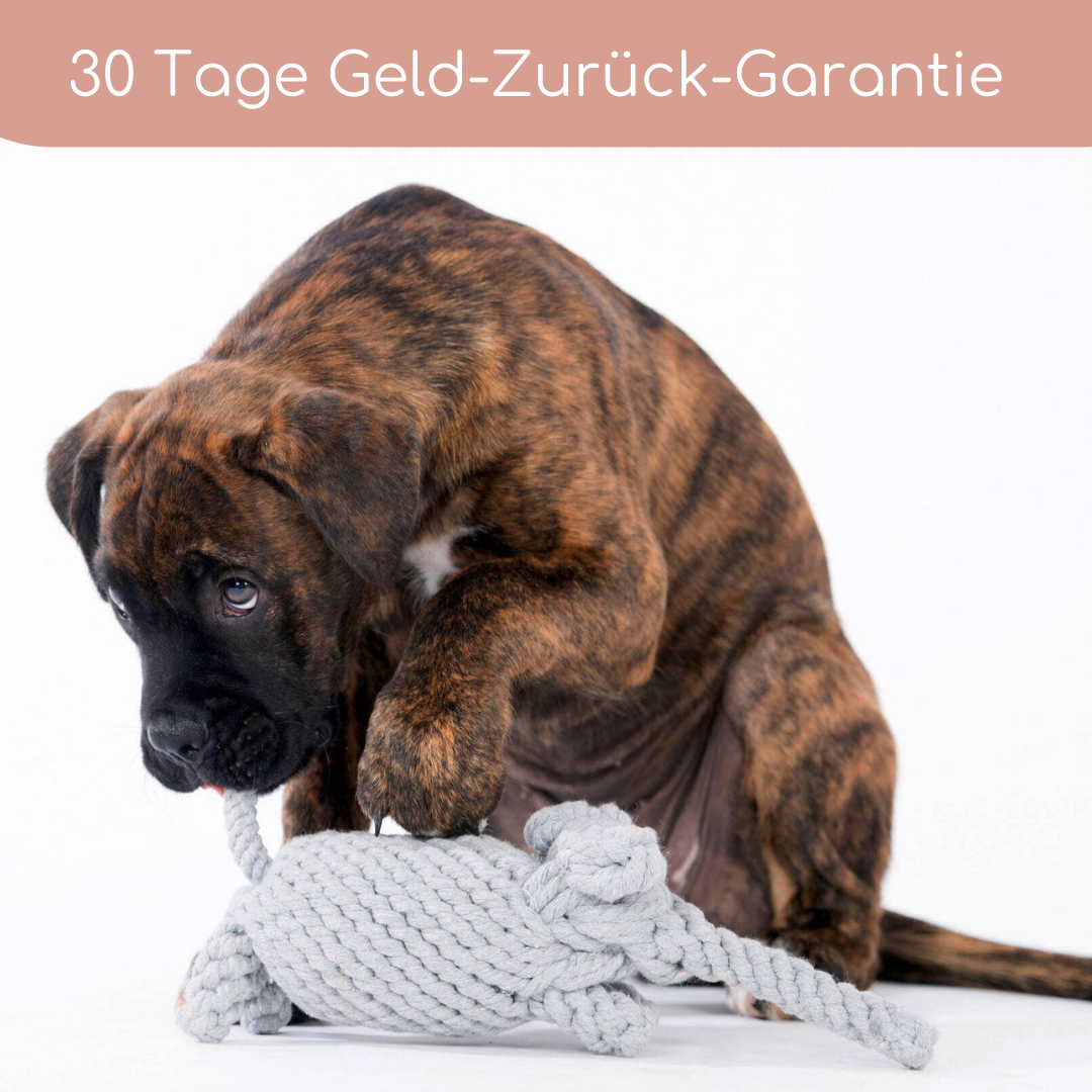 3 Bestseller im Set zum Vorteilspreis
