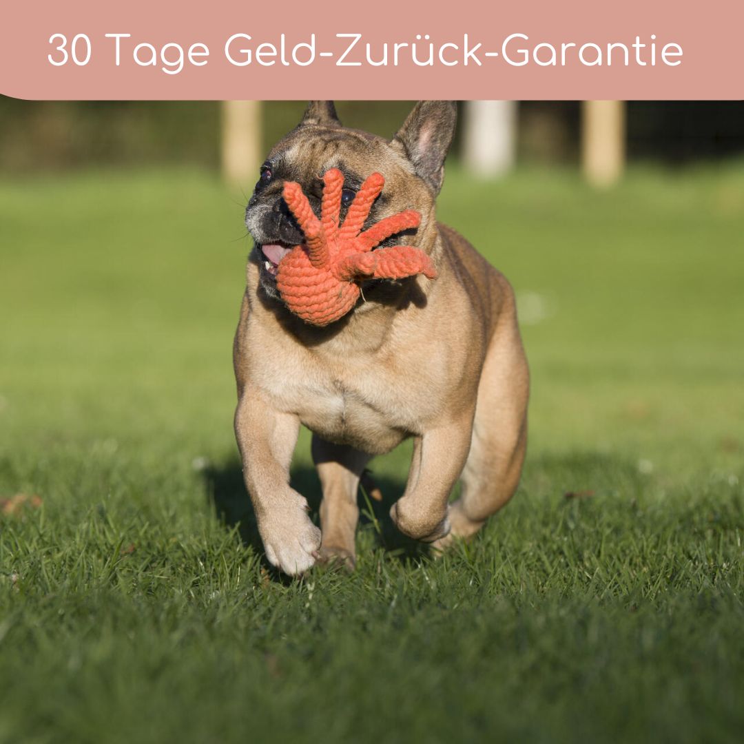 Thaddäus Tintenfisch – Handgeknüpftes Hundespielzeug aus Baumwolle