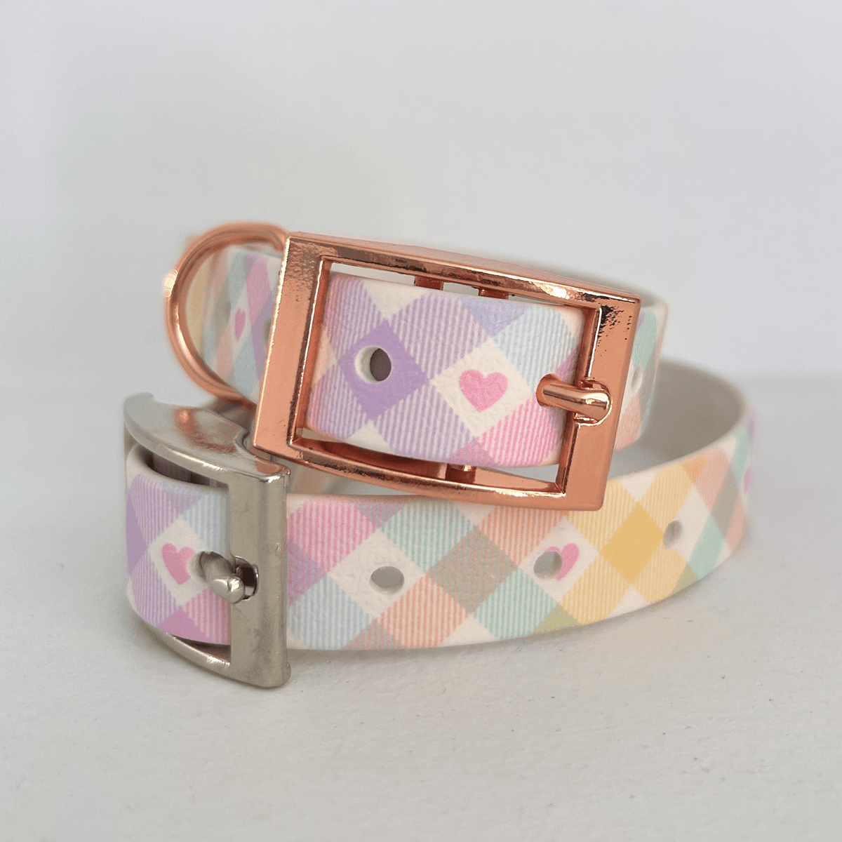 Handgemachtes Hundehalsband – Biothane & exklusive Prints - Pfotenlieblinge
