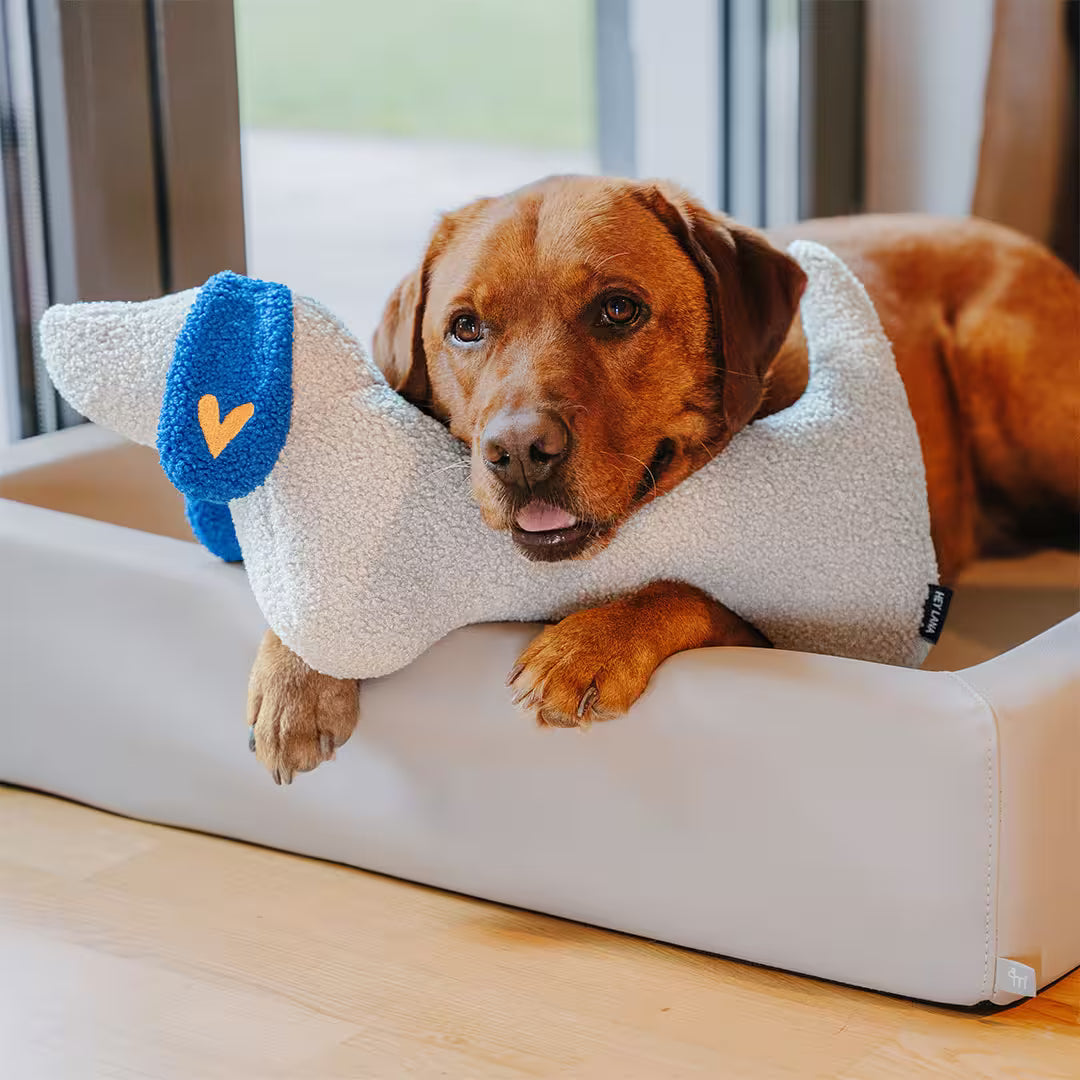 The Snuggle Pup - Hundekissen