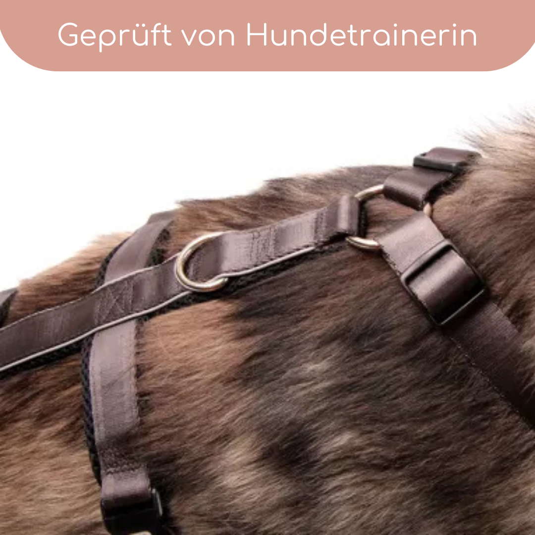 StyleSnout® Patch&Safe Sicherheitsgeschirr – ausbruchsicher & gepolstert