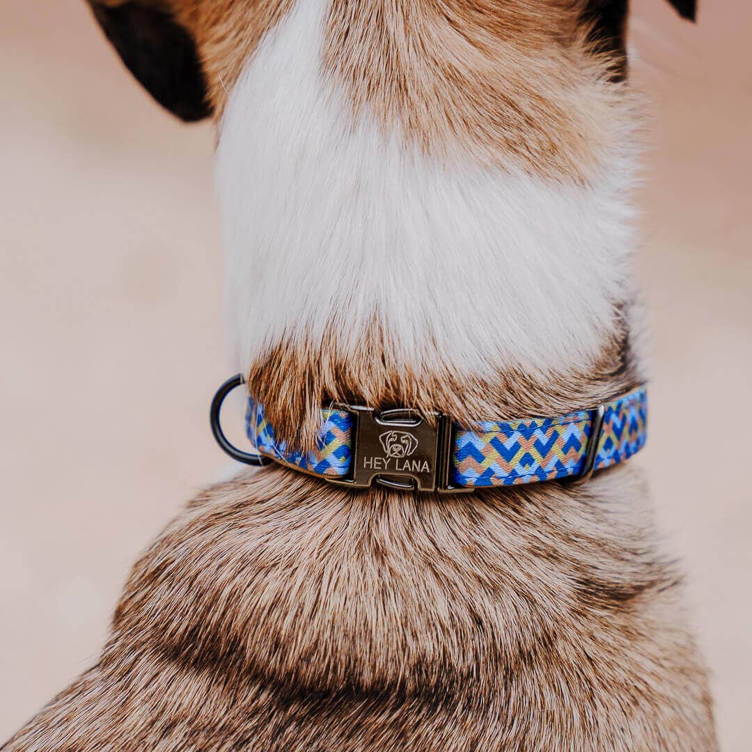 Hundehalsband Kunterbunt – Mocca/Blau - Pfotenlieblinge