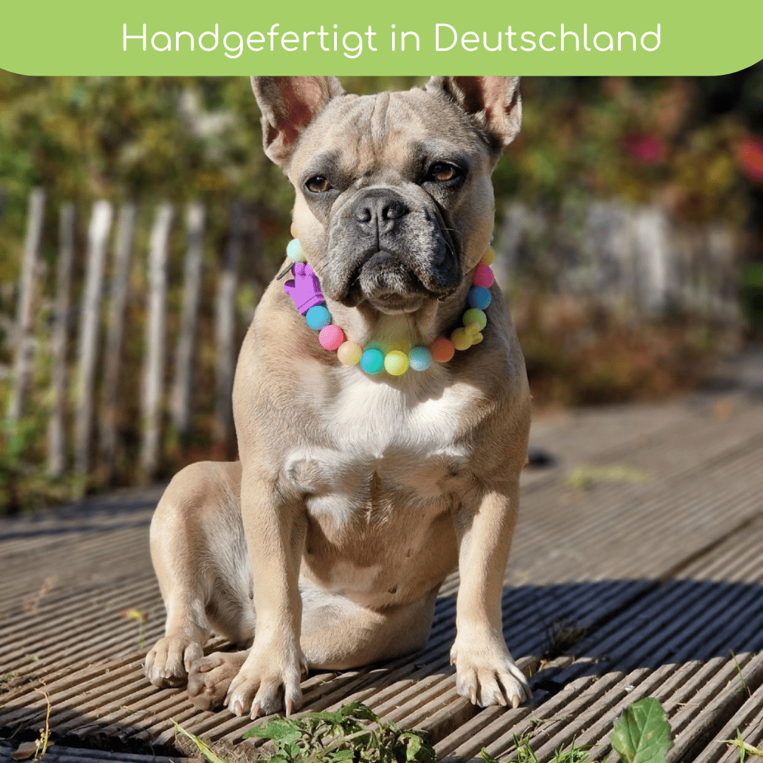 Leuchtkette „Princess“ für Hunde – handgefertigt & ohne Strom - Pfotenlieblinge
