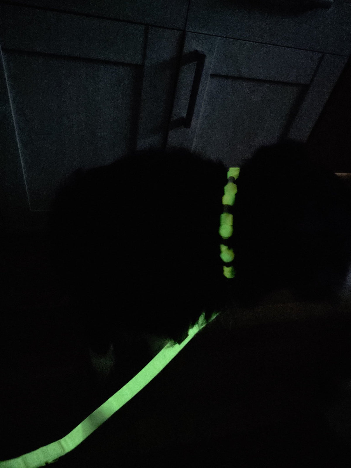 Leuchtset Leine „GLOW“ & Leuchtkette Honeydew Melon - Pfotenlieblinge