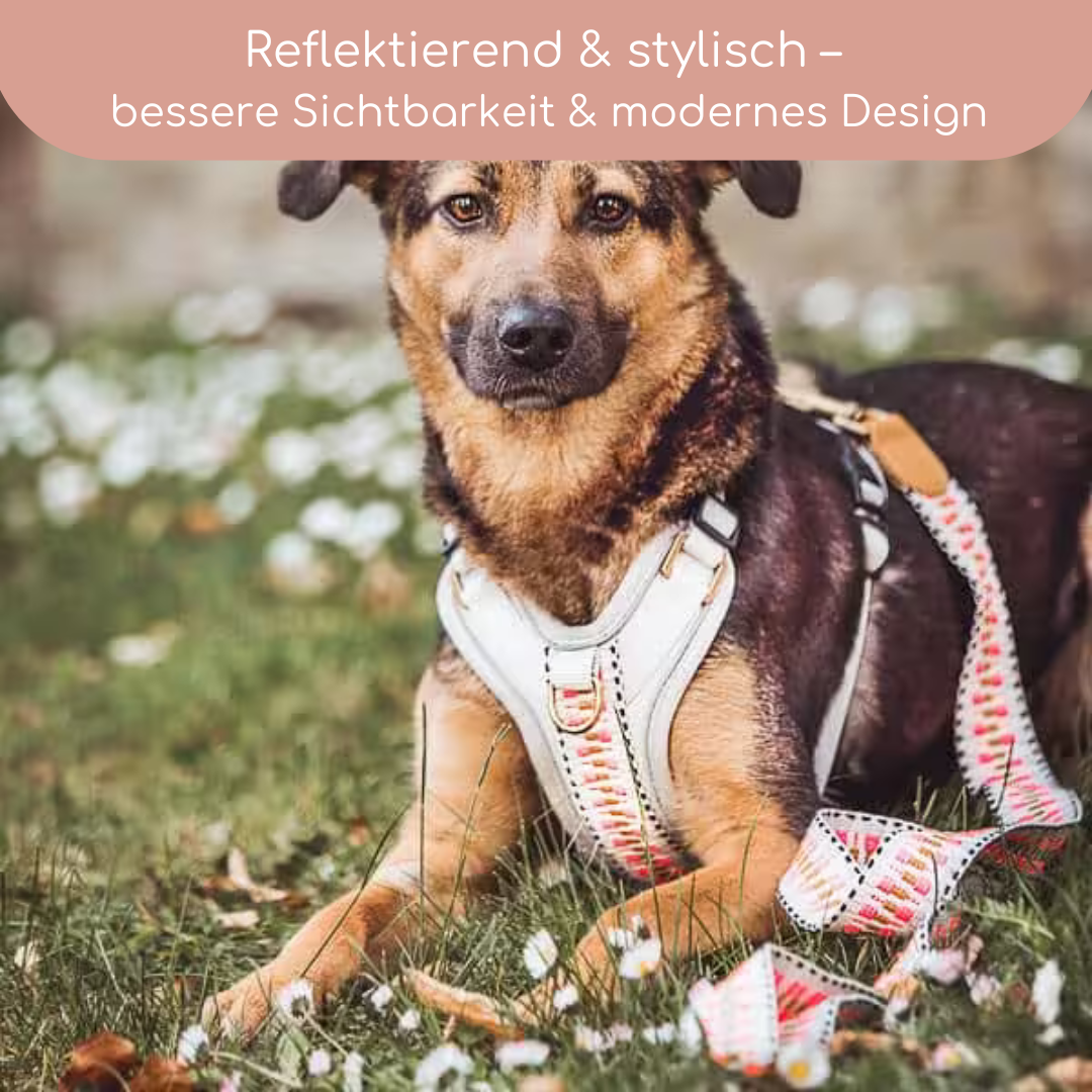 Hundegeschirr Pink/Beige – Verstellbar – Kollektion Très Chic