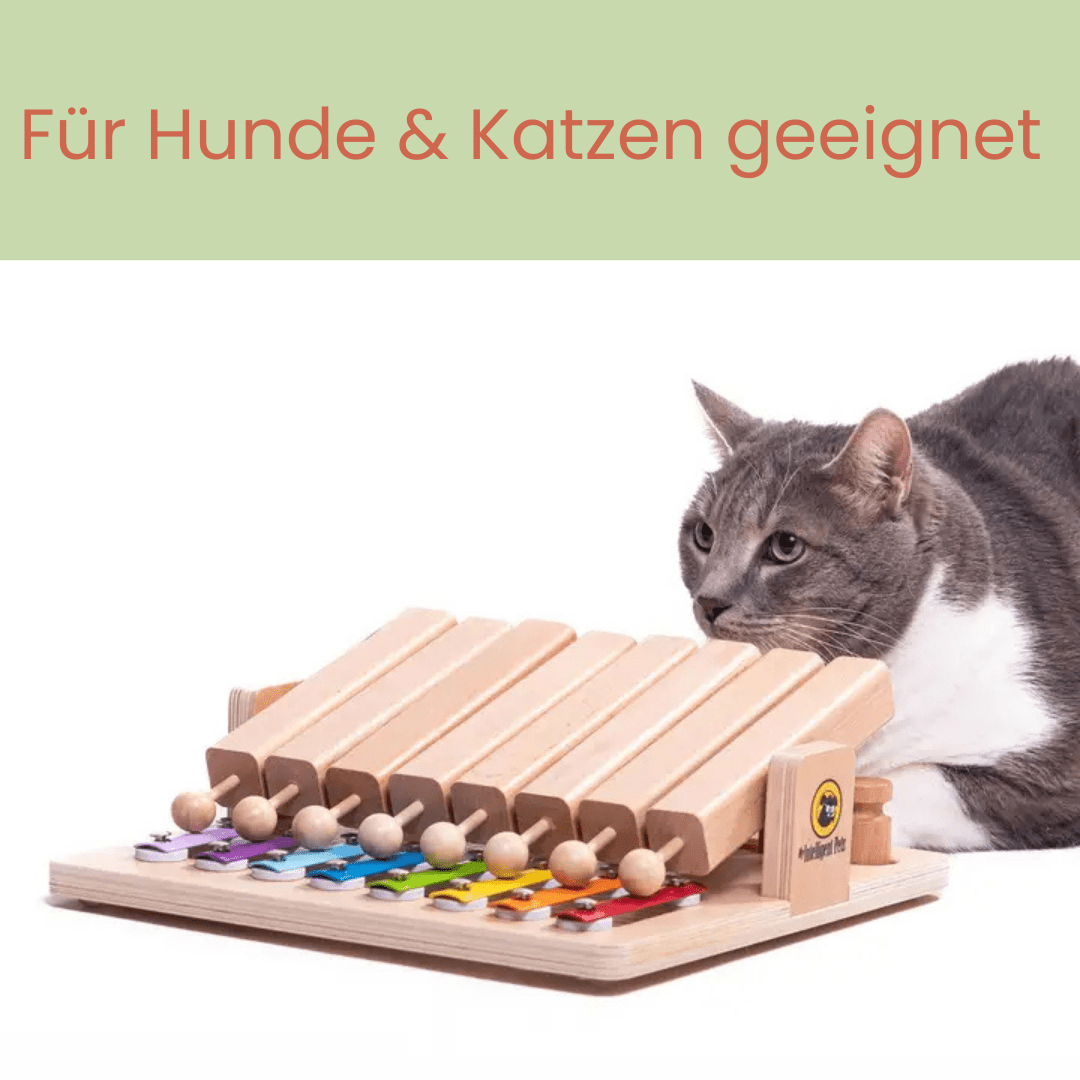Piano - Interaktives Haustierspielzeug des Jahres Intelligenzspielzeug - Pfotenlieblinge