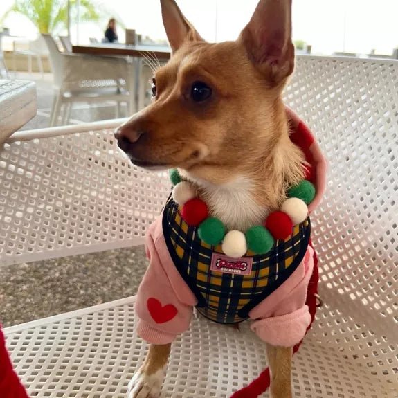 Pompon - Halsband „Christmas Edition“ – handgefertigt & festlich - Pfotenlieblinge
