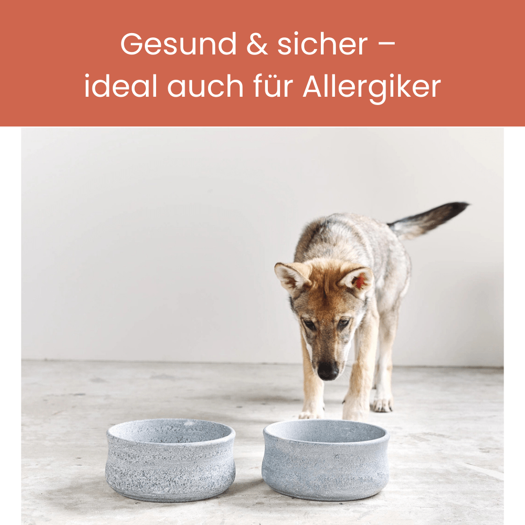 ROCKY Naturstein - Napf – selbstkühlend, stilvoll & massiv - Pfotenlieblinge