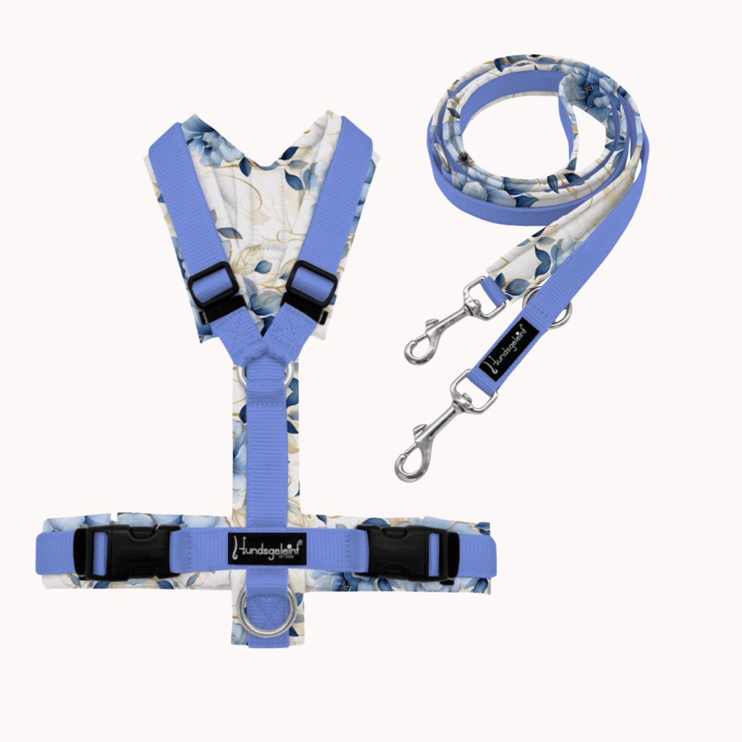 Sparset: Icebloom Geschirr & Soft Hundeleine – perfekt abgestimmt