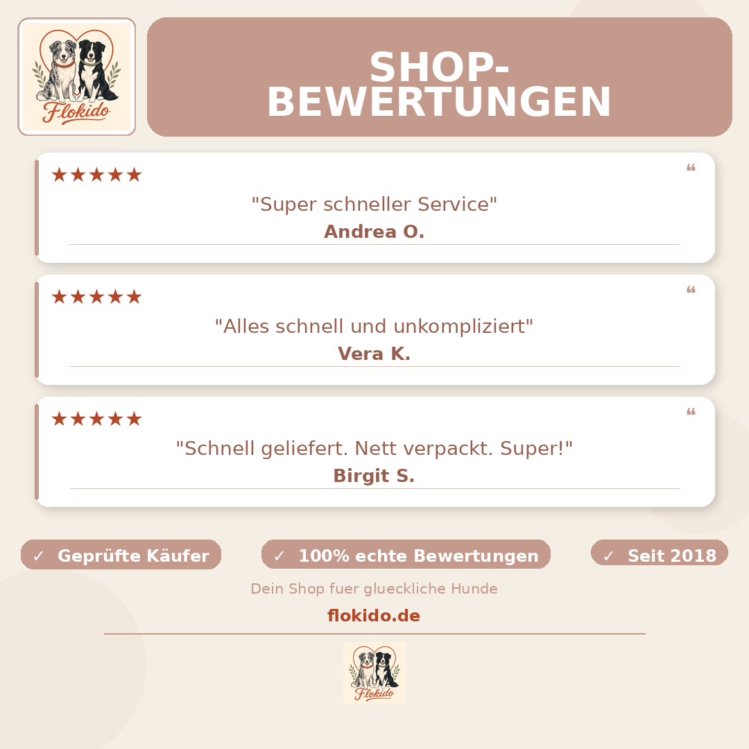 StyleSnoutÂź Patch&Safe Sicherheitsgeschirr â ausbruchsicher & gepolstert gold