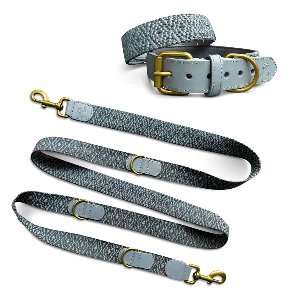 Sparset: Halsband & Leine in Anthrazit/Eisblau - Pfotenlieblinge
