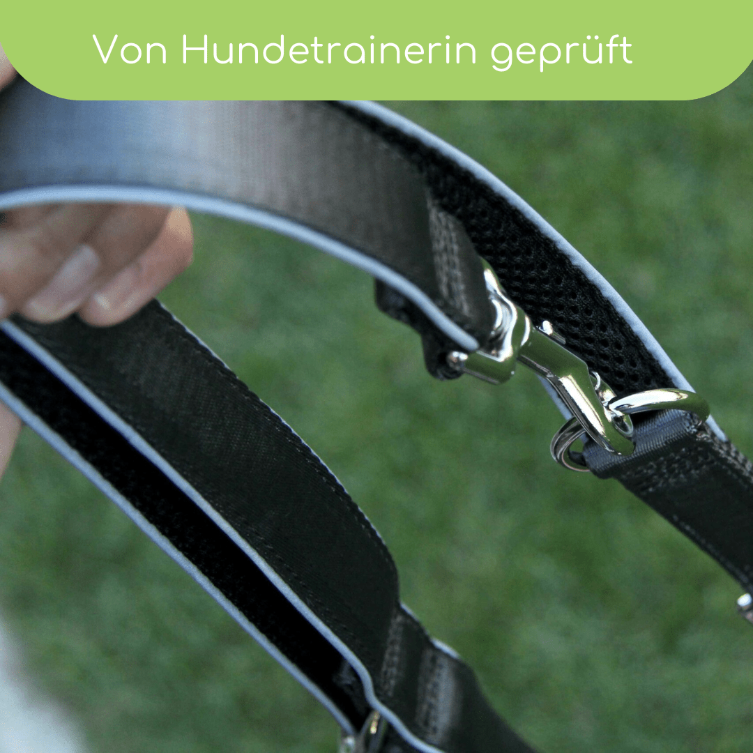 StyleSnout® Führleine Silver - Black – gepolstert, reflektierend & mehrfach verstellbar - Pfotenlieblinge