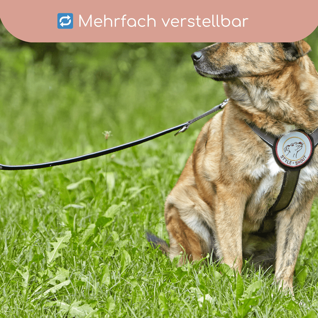 StyleSnout® Führleine Silver - Black – gepolstert, reflektierend & mehrfach verstellbar - Pfotenlieblinge