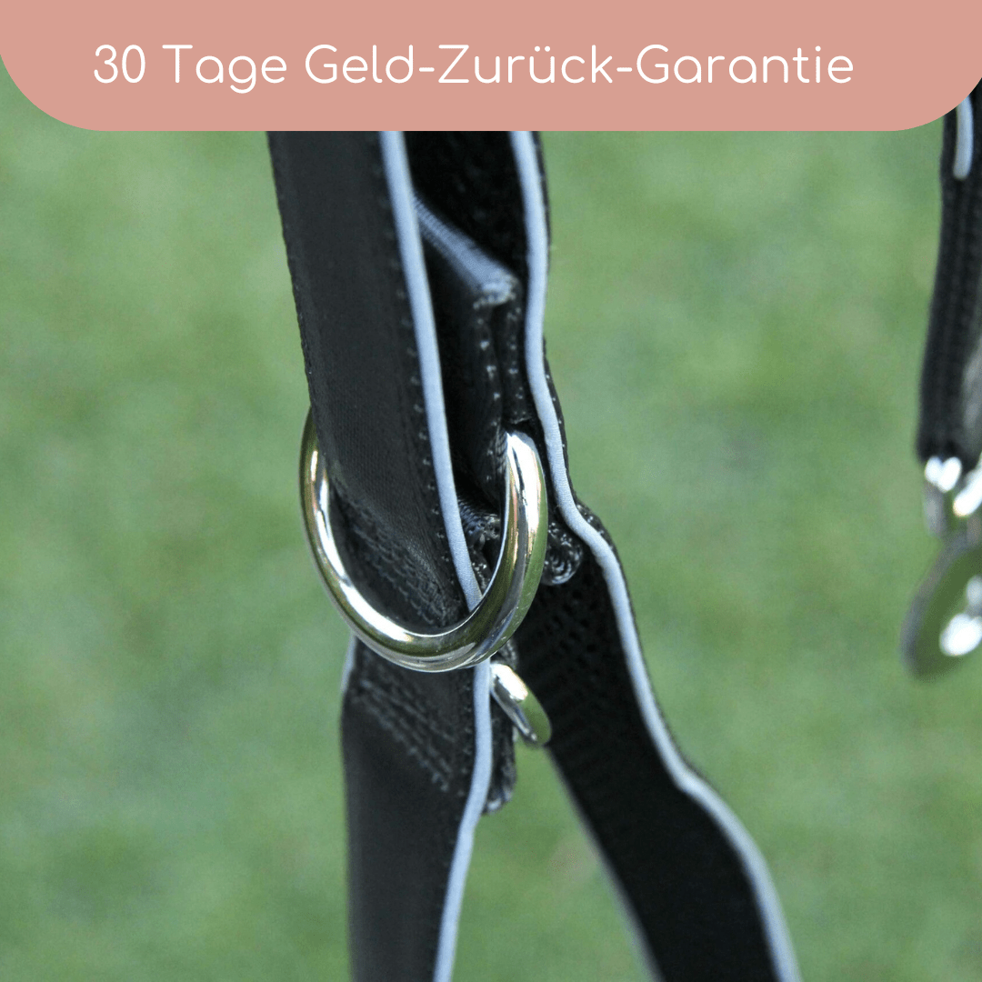 StyleSnout® Führleine Silver - Black – gepolstert, reflektierend & mehrfach verstellbar - Pfotenlieblinge