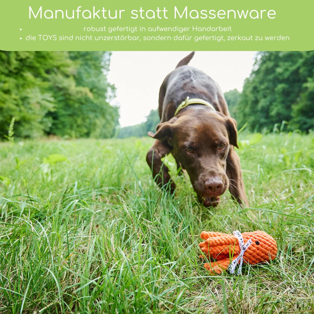 Thaddäus Tintenfisch – Handgeknüpftes Hundespielzeug aus Baumwolle