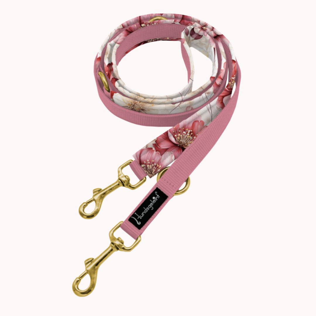 Hundeleine Soft Wild-Bloom gepolstert und handgefertigt