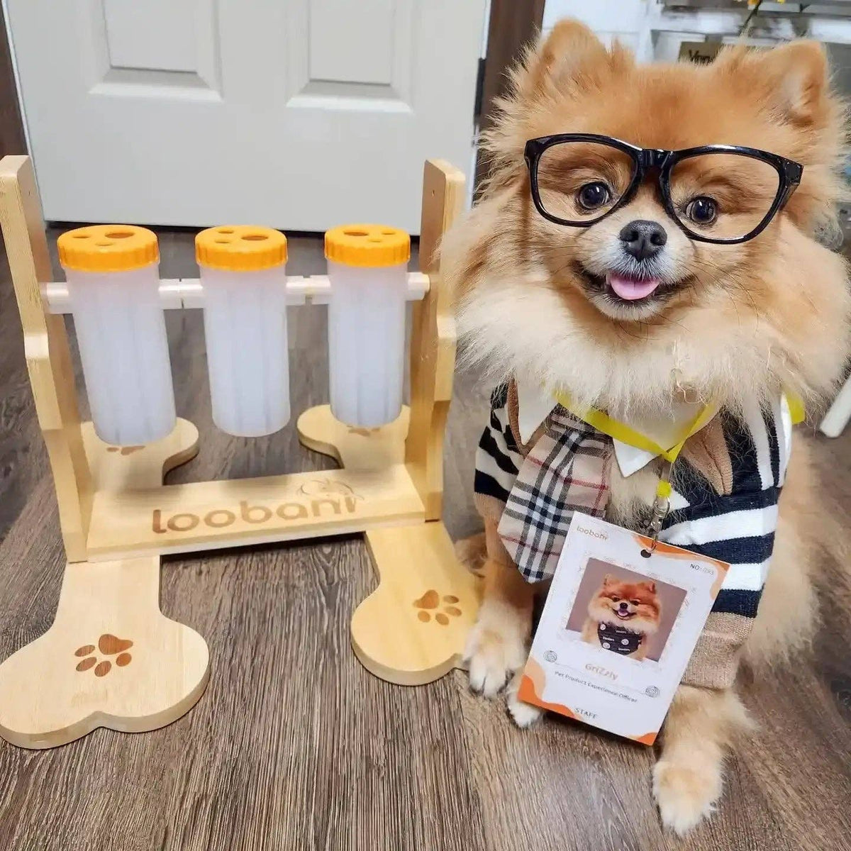 Snacklab Leckerli-Spender – Intelligenzspiel für Hunde
