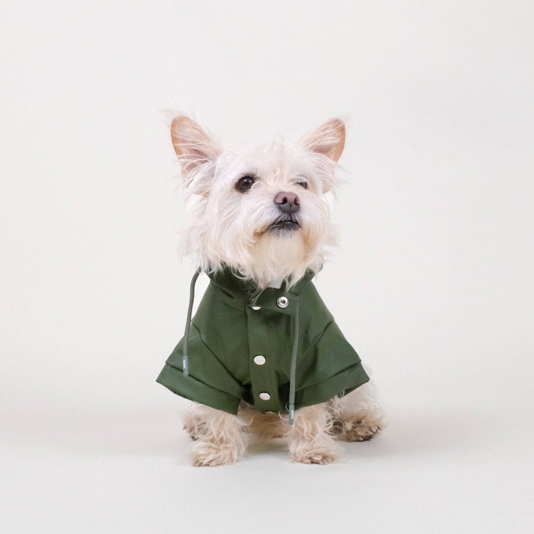 Grüner Hunderegenmantel | Stylischer Hundemantel | Wasserdichter Hundemantel