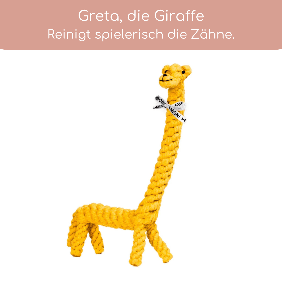 3 Bestseller im Set zum Vorteilspreis - Flokido
