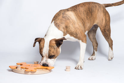 Carousel of Bones - intelligentes Hundespiel
