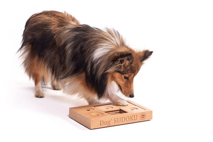 SUDOKU Small Advanced - Hunde- und Katzenpuzzle