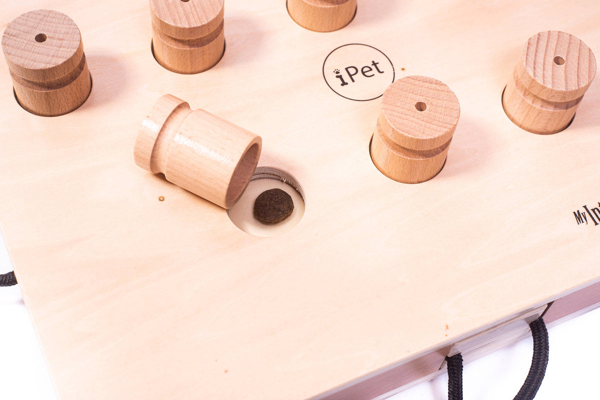 iPet – Smart Dog Intelligenzspielzeug