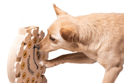 Clock - Spielzeug zur Bereicherung von Hund und Katze