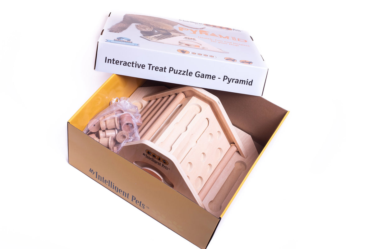 Pyramide – Intelligenzspiel für Hunde | Anspruchsvoll
