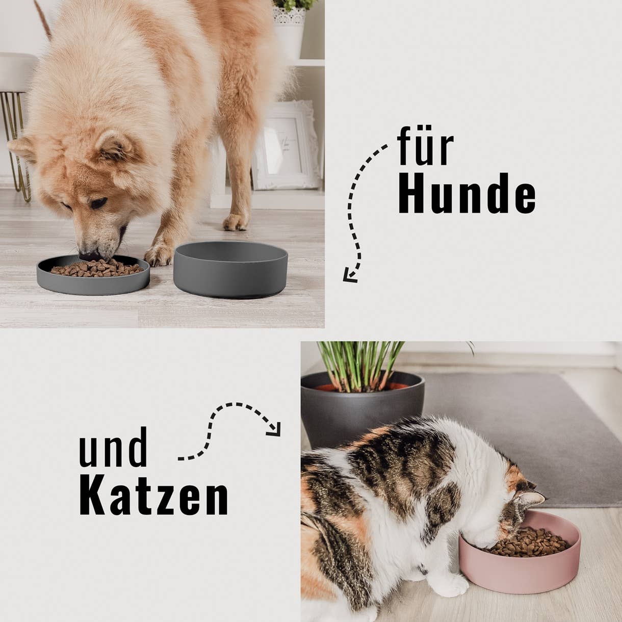 Silikonnapf mit Deckel für Hunde – hygienisch &amp; barftauglich