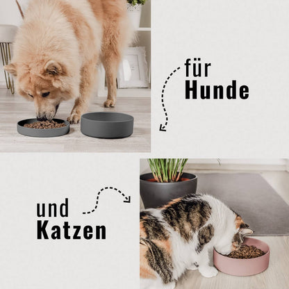 Silikonnapf mit Deckel für Hunde – hygienisch &amp; barftauglich