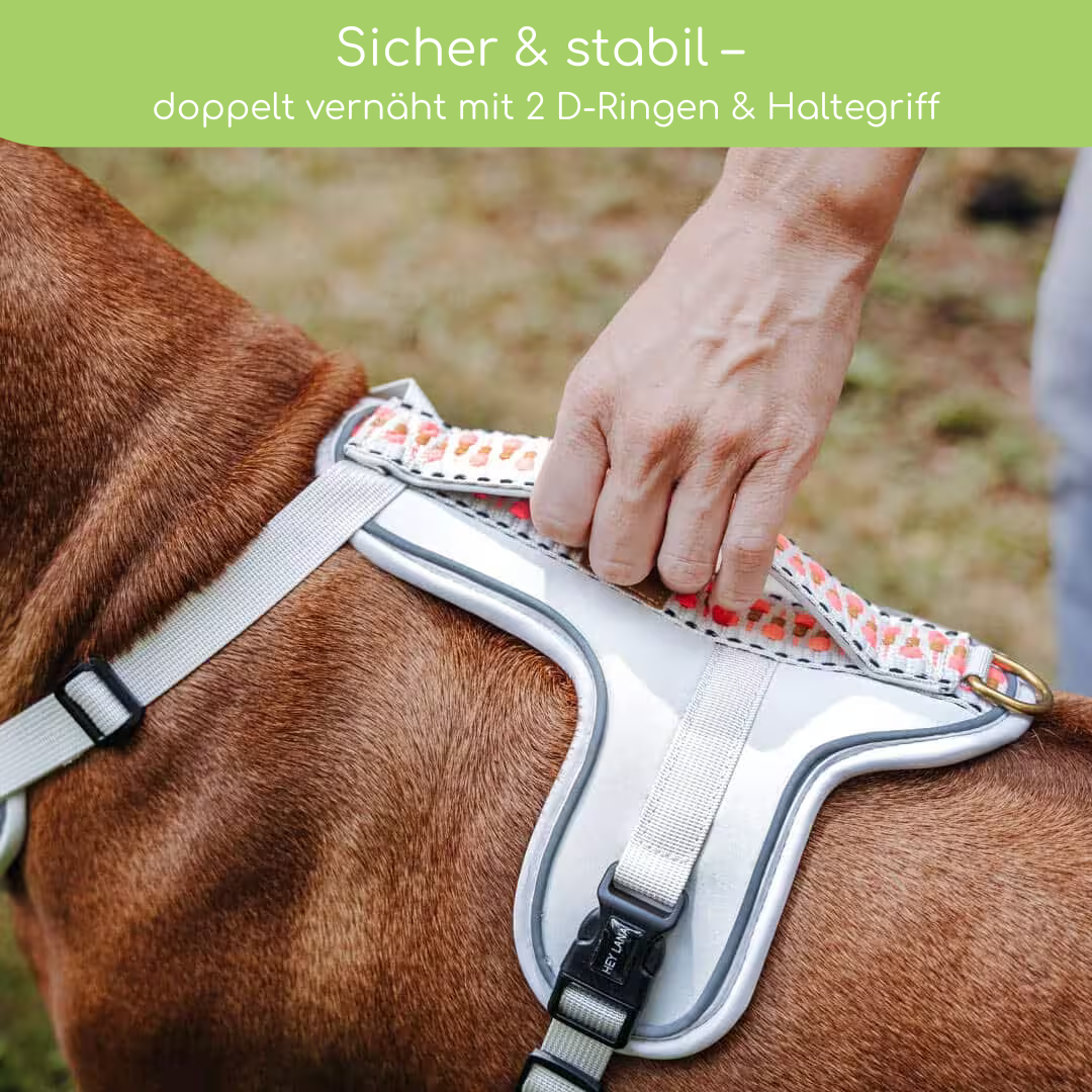 Hundegeschirr Pink/Beige – Verstellbar – Kollektion Très Chic