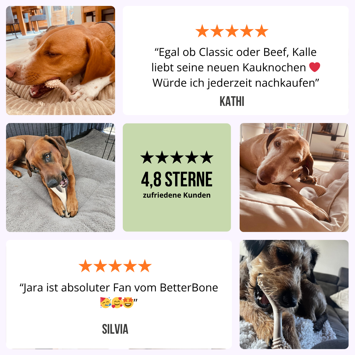 BetterBone Hundeknochen – Nachhaltig, Zahnfreundlich &amp; Langlebiges Kauspielzeug
