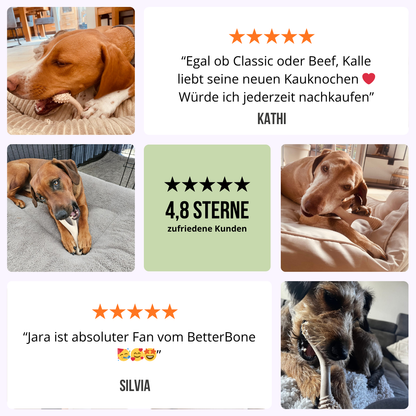BetterBone Hundeknochen – Nachhaltig, Zahnfreundlich &amp; Langlebiges Kauspielzeug