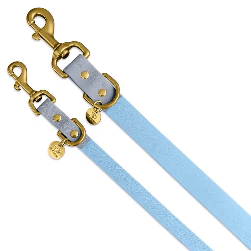 Schmutzabweisendes Geschirr &amp; Leine (Set) in Taupe/Blau