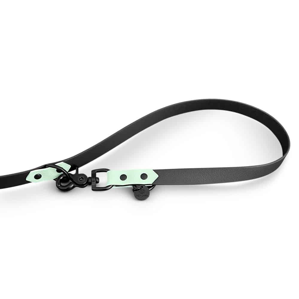 Schmutzabweisendes Geschirr &amp; Leine (Set) in Schwarz/Mint