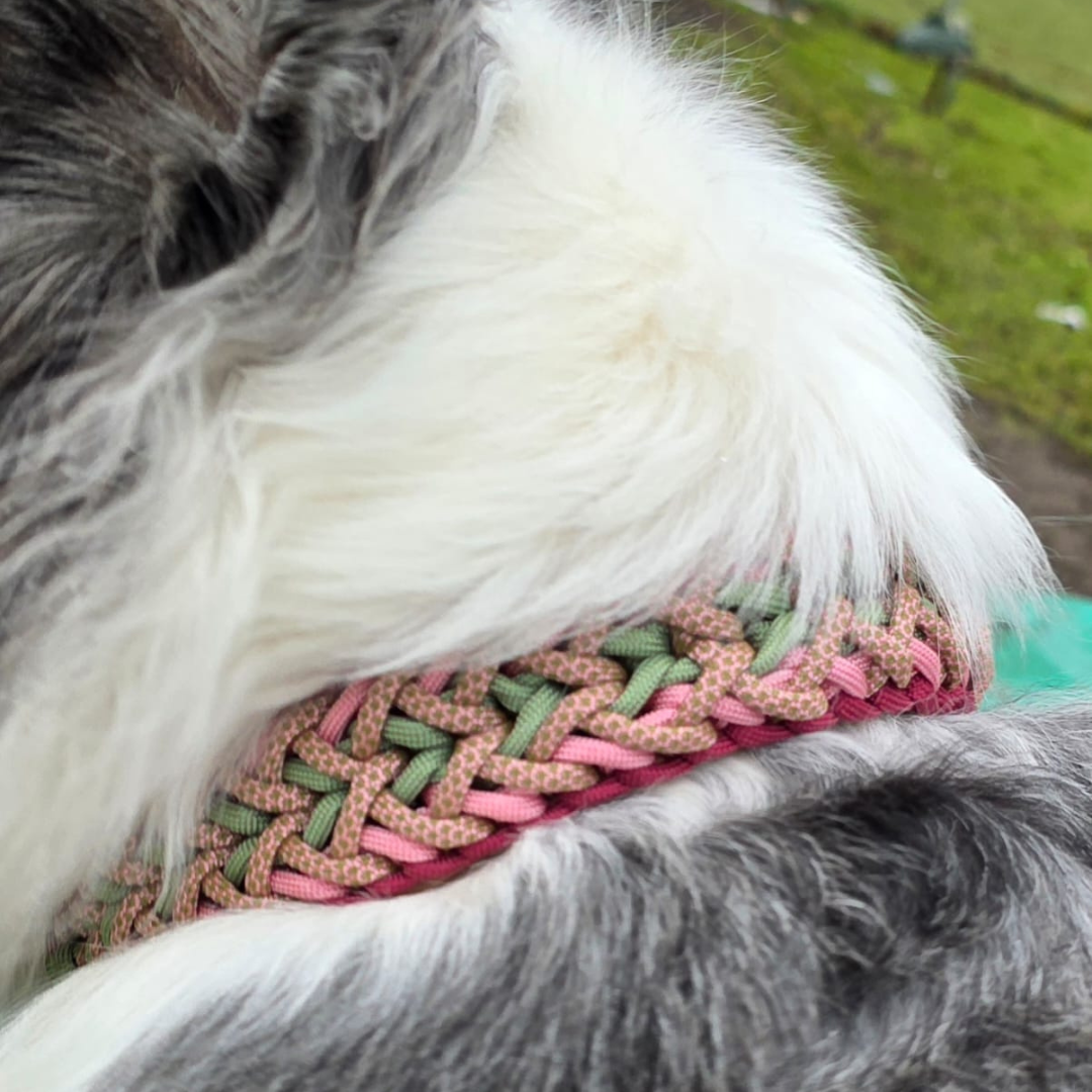 Handgemachtes Paracord-Hundehalsband „Rosé Sage“